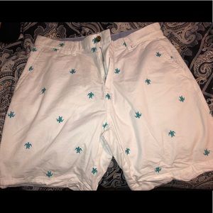 Tommy Hilfiger Shorts